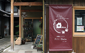 保護猫カフェ Pili Ohana
